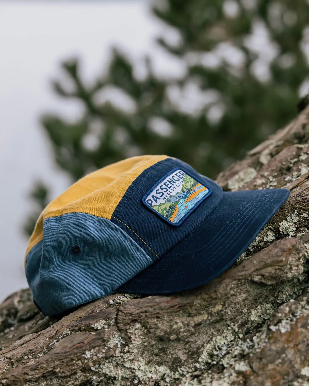 Love The Wild Recycled Cotton 5 Panel Cap - Multi