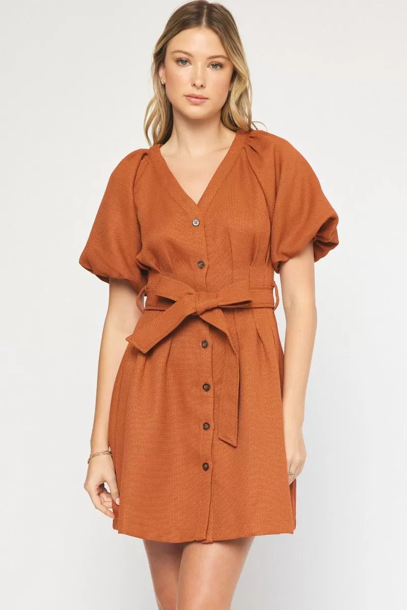 Textured Bubble Sleeve Mini Dress- Bronze